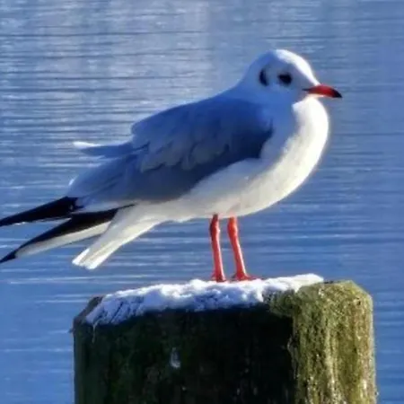 Feiernhaus Prázdninový dům