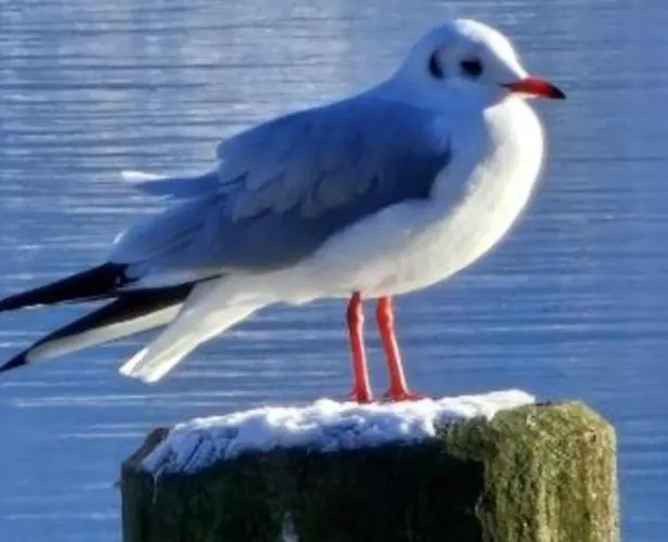 Feiernhaus Prázdninový dům